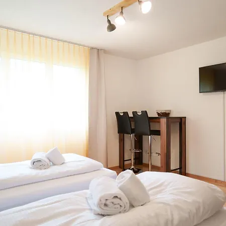 Appartement Haus Gmuer 2 - Mit Gemeinschaftsbereichen *